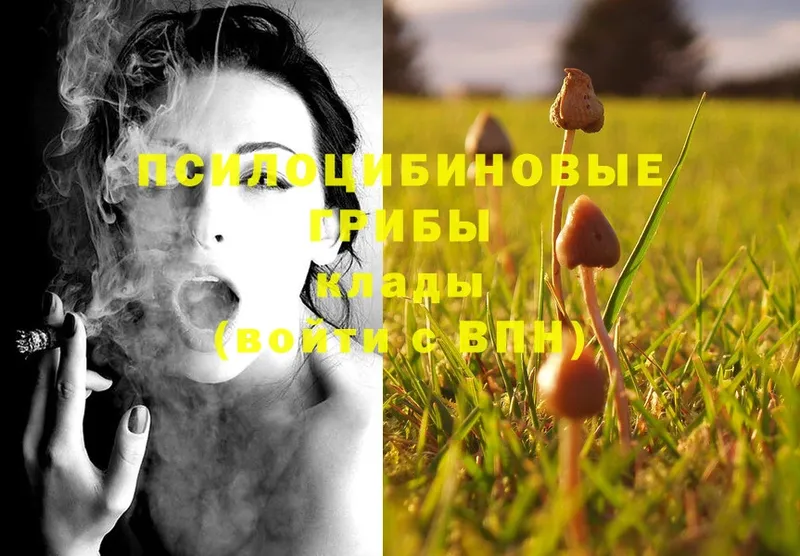 Псилоцибиновые грибы MAGIC MUSHROOMS  закладка  Уссурийск 