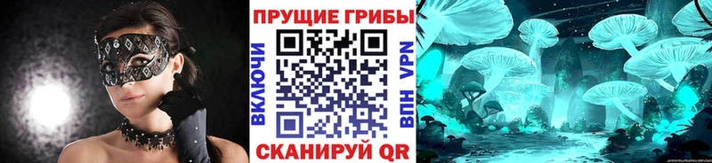 Псилоцибиновые грибы GOLDEN TEACHER  Уссурийск 